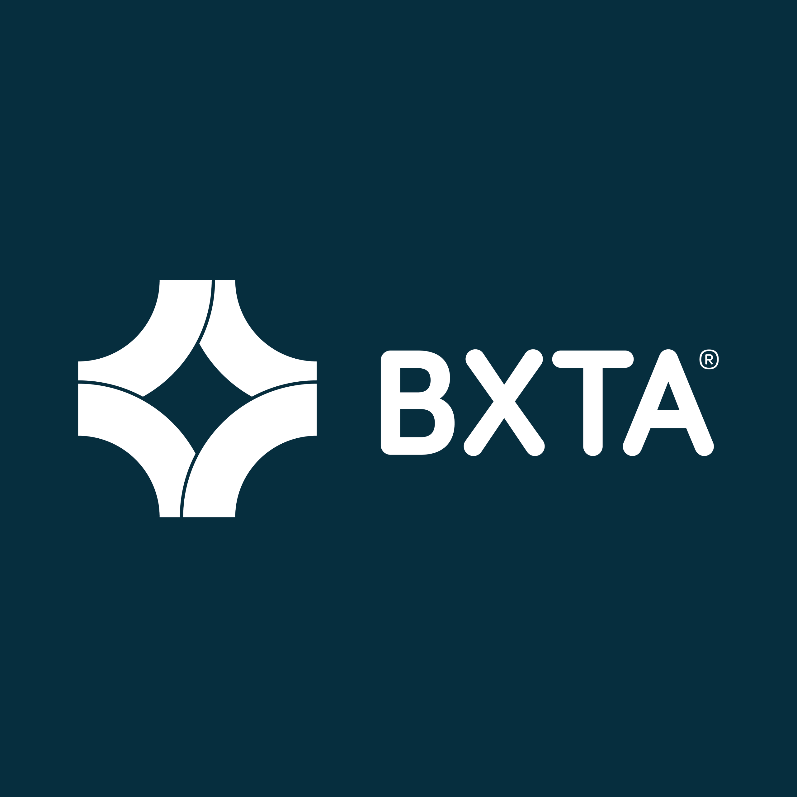 BXTA - client logo